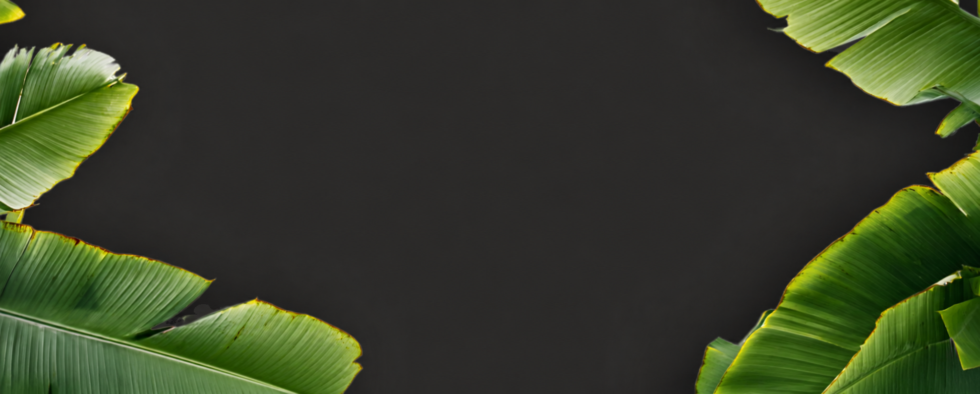 Banana Leaf