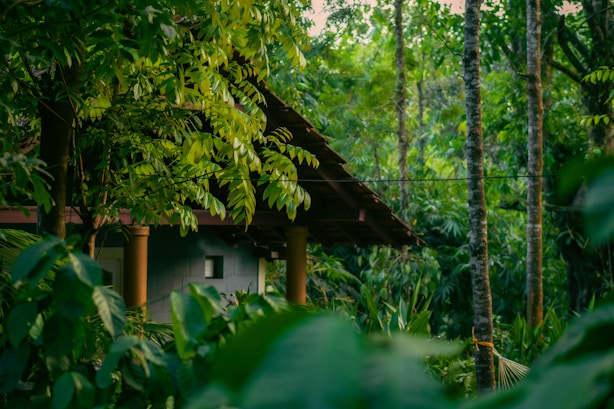 Club Mahindra Horizons